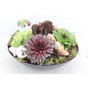 arr4 Semp VL - Kunststof rond black