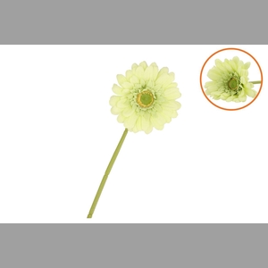 Silk Gerbera Light Green 72cm