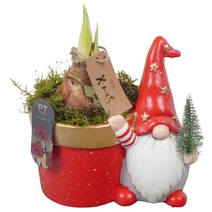 PTACH2527 Arrangementen Kerst