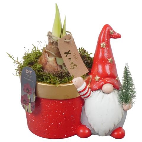 <h4>PTACH2527 Arrangementen Kerst</h4>
