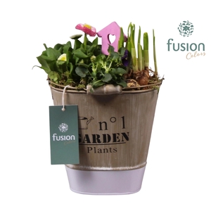 Zink emmer ovaal paars Pasen met Arrangement