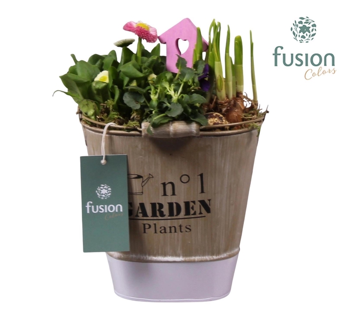 <h4>Zink emmer ovaal paars Pasen met Arrangement</h4>