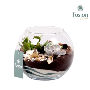 Maritiem glazen vissenkom