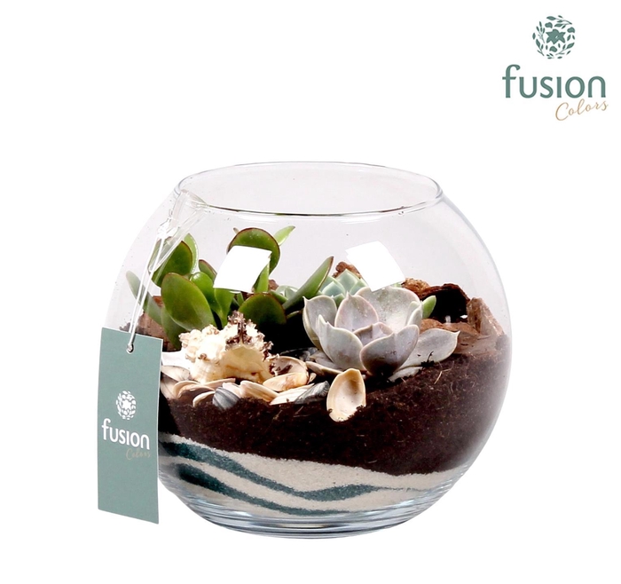 <h4>Maritiem glazen vissenkom</h4>