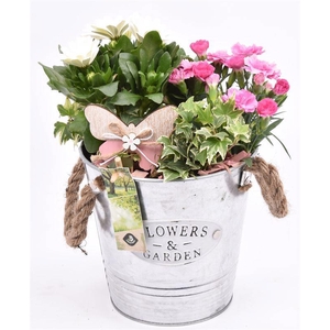 Zink emmer Flower & Garden 16 cm