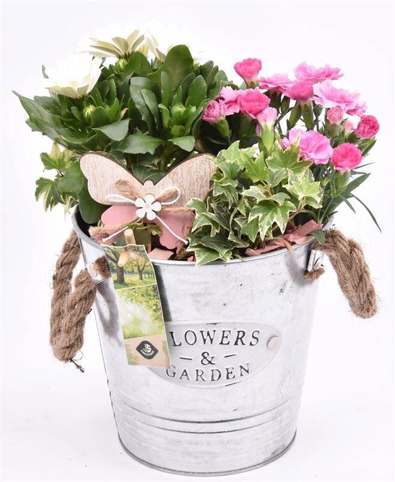 <h4>Zink emmer Flower & Garden 16 cm</h4>