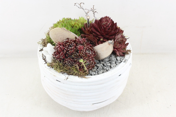 <h4>arr4 Semp MB - Hout rond L white x2</h4>