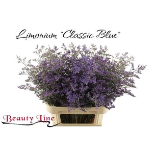 LIM SAF CLASSIC BLUE