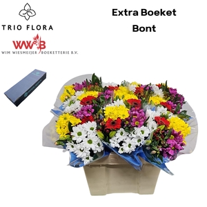 Boeket Extra L Box Bont