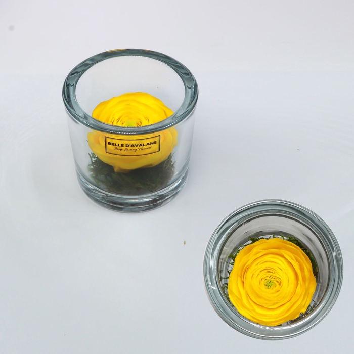 Cilinder d9x8h ranunculus yel-99 glas