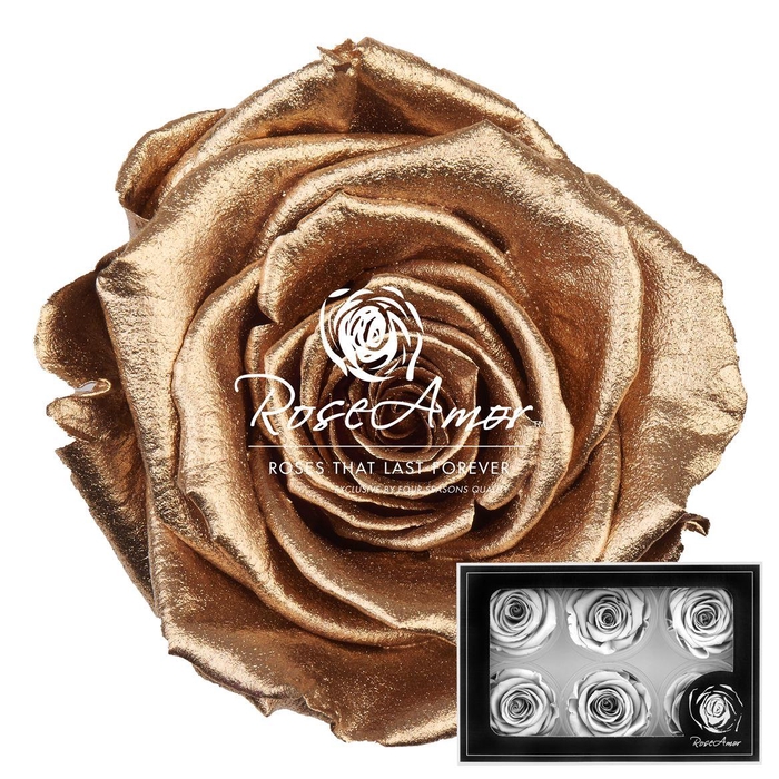 <h4>L Metallic Gold</h4>