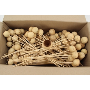 Stick Bell Cup Natural