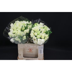 Anem Zwaar Pure White