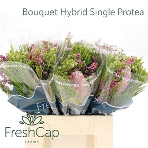 Bouquet Hybrid Single Protea