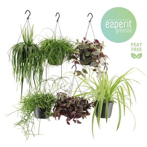 Hangmix Greenss 4 srt. hangpot