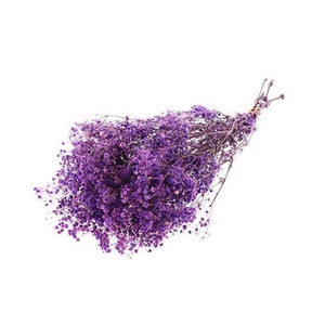 Pres Gyp Bq Lila Bunch Slv