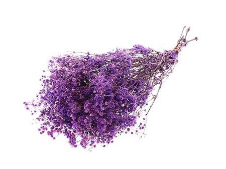 <h4>Pres Gyp Bq Lila Bunch Slv</h4>