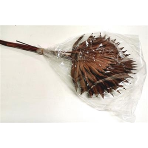 DROOG PALM SUN SPEAR VIOLET