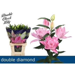LI OR DU DOU DIAMOND