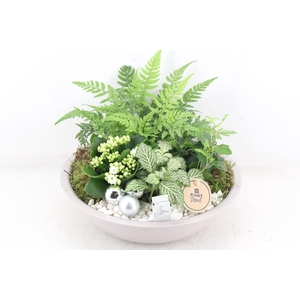 arr2 PL - Zink taupe schaal - wit