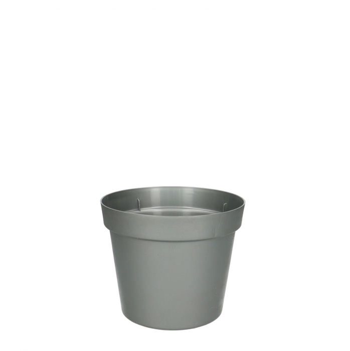 <h4>Pot d15*12cm</h4>