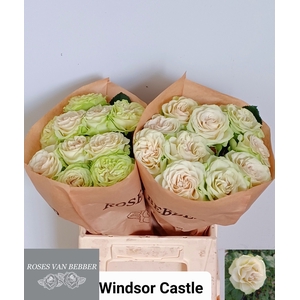 R GR WINDSOR CASTLE