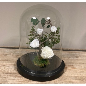 Stolp zwart 28h witte rozen glas