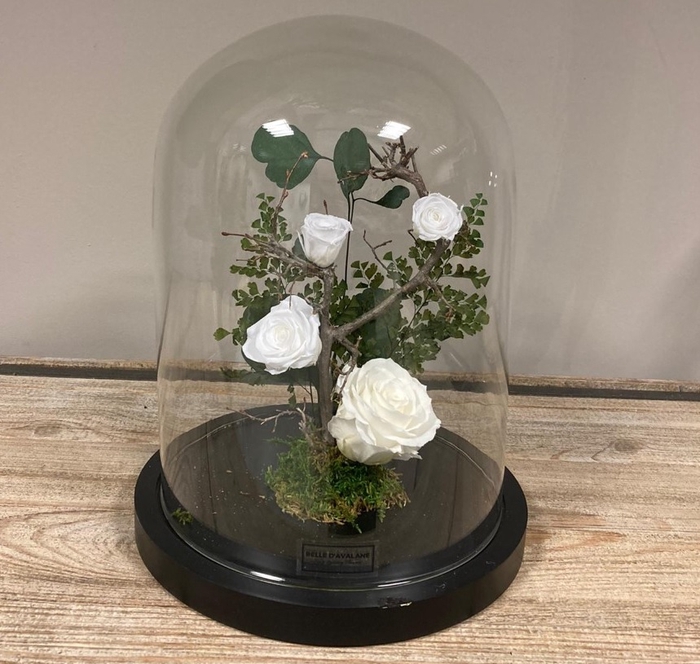 Stolp zwart 28h witte rozen glas