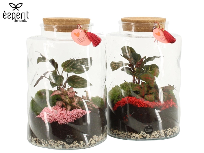 <h4>Arr.    Planten  H%</h4>