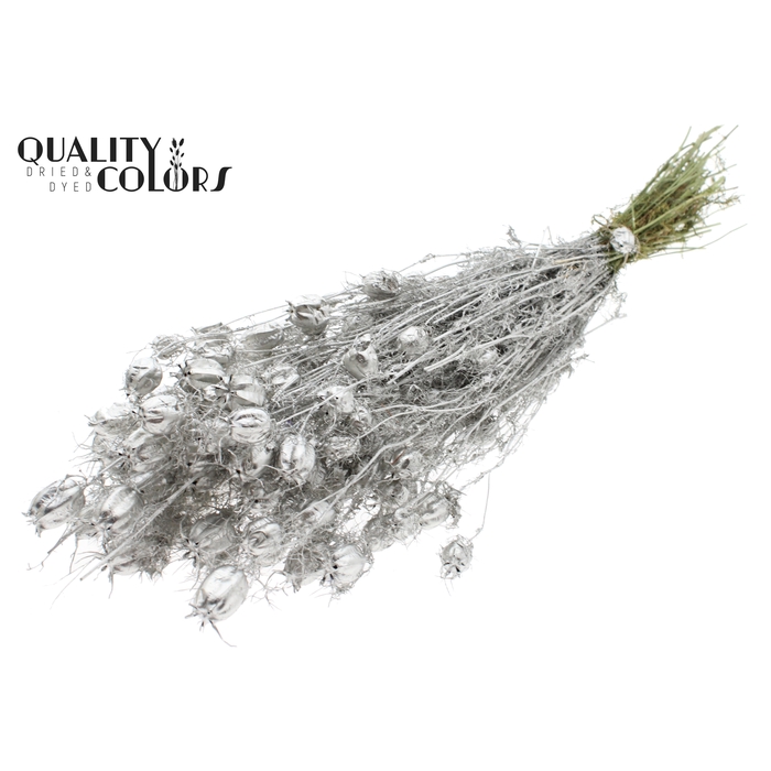 <h4>Nigella per bunch Platina</h4>