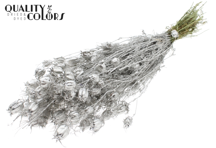 Nigella per bunch Platina