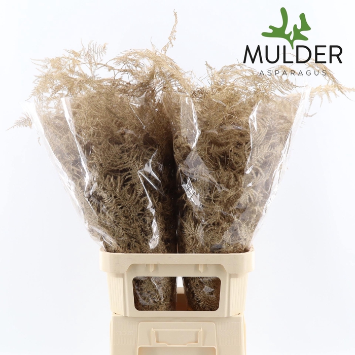 <h4>ASP OV KLB H%</h4>