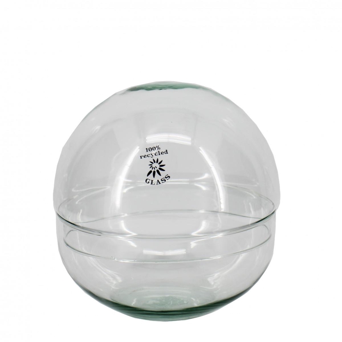 <h4>Glass Cloche Bowl d19.5*19.5cm</h4>