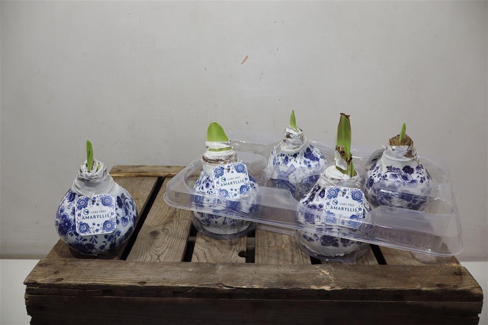 Bloembol Hipp Delfts Blue Decor