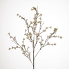 AF Blossom m spray/5 L90cm cr