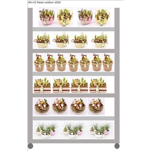 Mix CC Pasen Outdoor