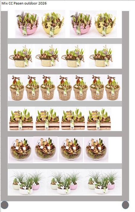<h4>Mix CC Pasen Outdoor</h4>
