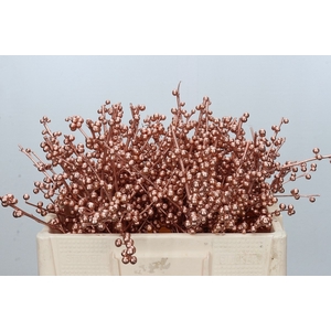 Ilex paint Copper