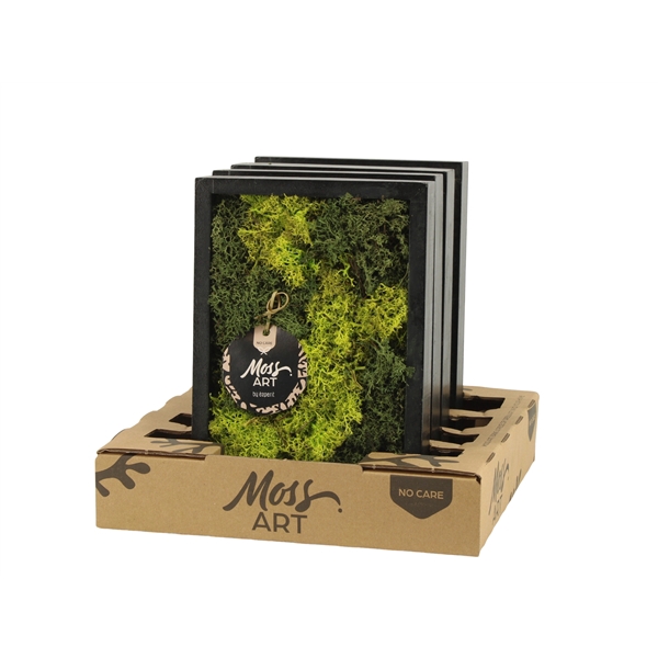 <h4>90787: Moss Art arrangement D24</h4>