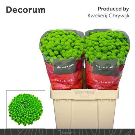 <h4>Chr S Aaa Peptalk</h4>