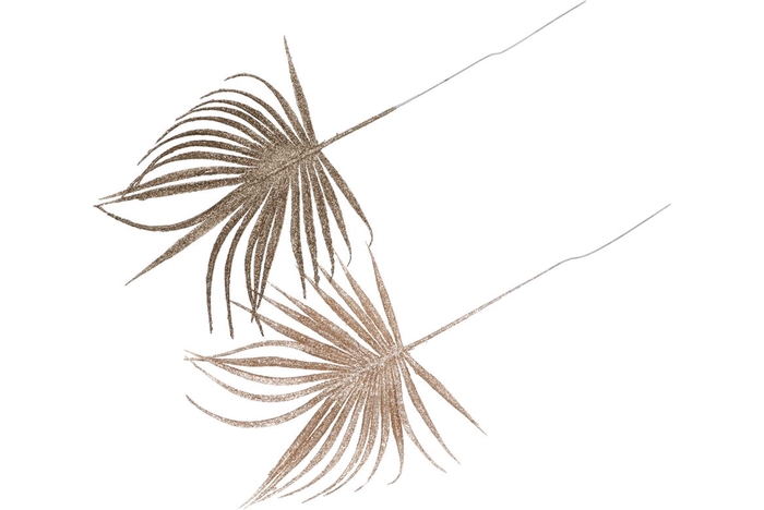 Pick Shine Palm Champagne/gold 36cm Ass Per 12 Nm