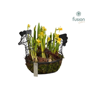 Metaal rek met Narcis Tat