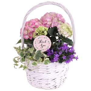 Mothersday Arr. Outdoor Willow Basket with Handles Ø25cm 3PP