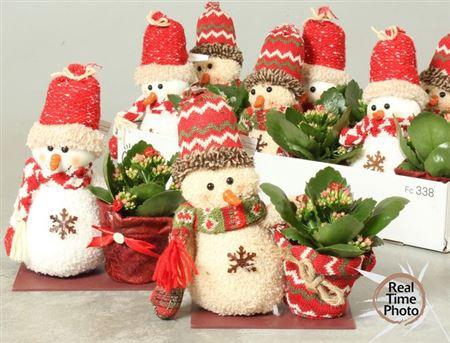 <h4>Arr Kerst Pietje</h4>