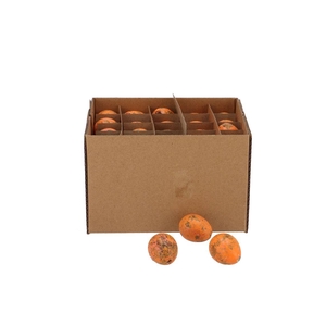 Eggs Kwartel Orange Per 60 2.5x3.5cm