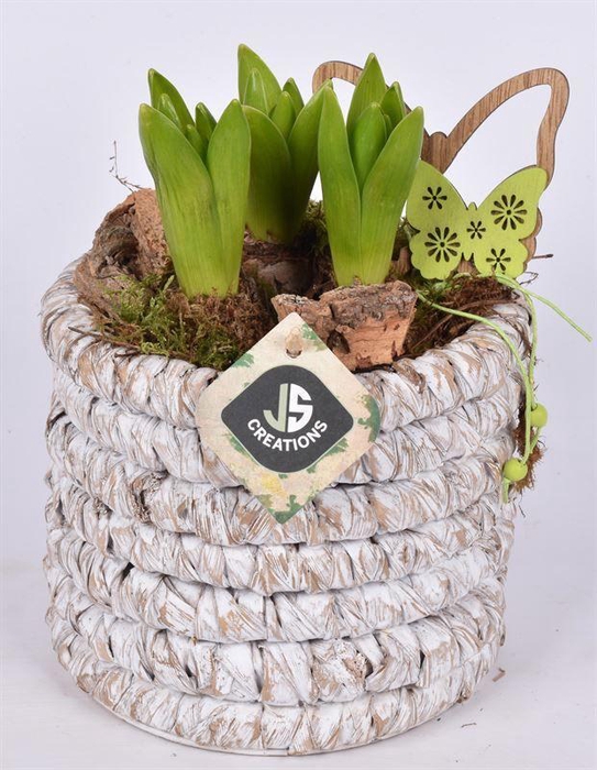 <h4>Mais mand 15.5 cm white wash</h4>