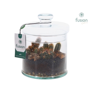 Glas Pot met Deksel en Arrangement