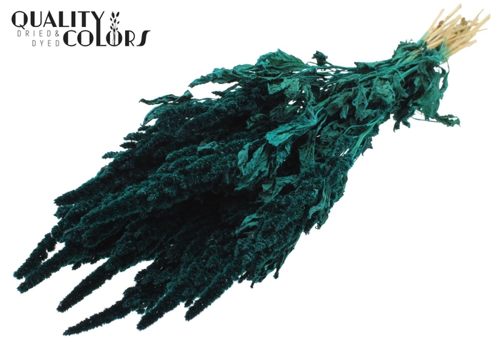 <h4>Droogbloemen   ...bewerkt H%</h4>
