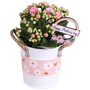 Mothersday Arr. Indoor Zinc White + Flowers & Bees Ø10cm 1PP