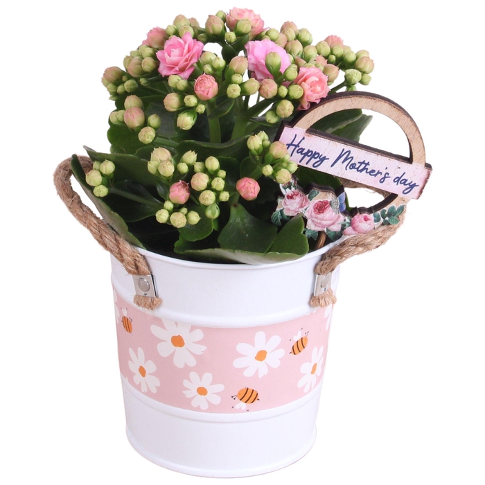 <h4>Mothersday Arr. Indoor Zinc White + Flowers & Bees Ø10cm 1PP</h4>